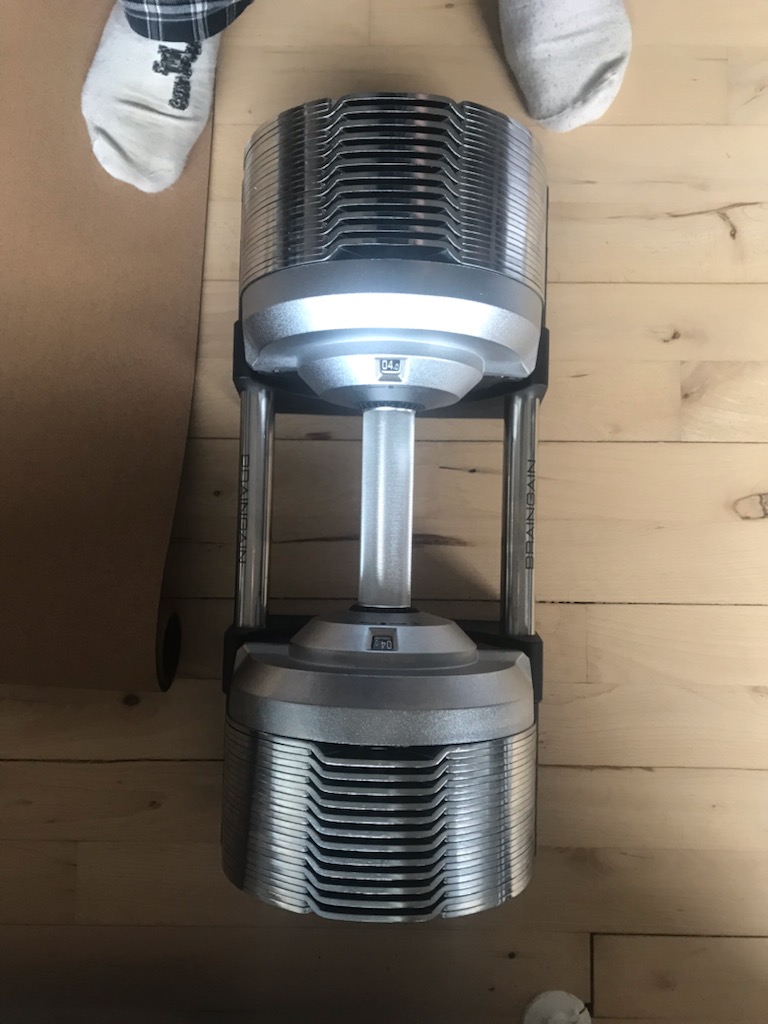 pair of chrome adjustable dumbbells resting on their cradles in my living room